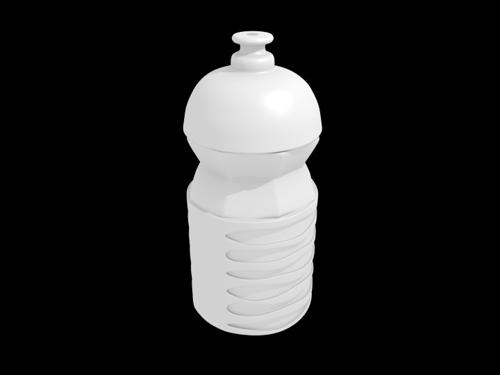 The Futute Bottle preview image
